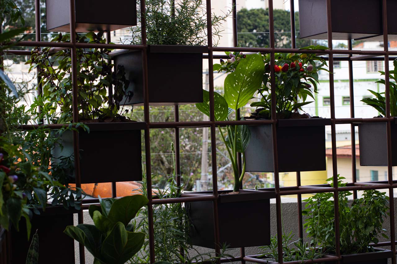 Jardim